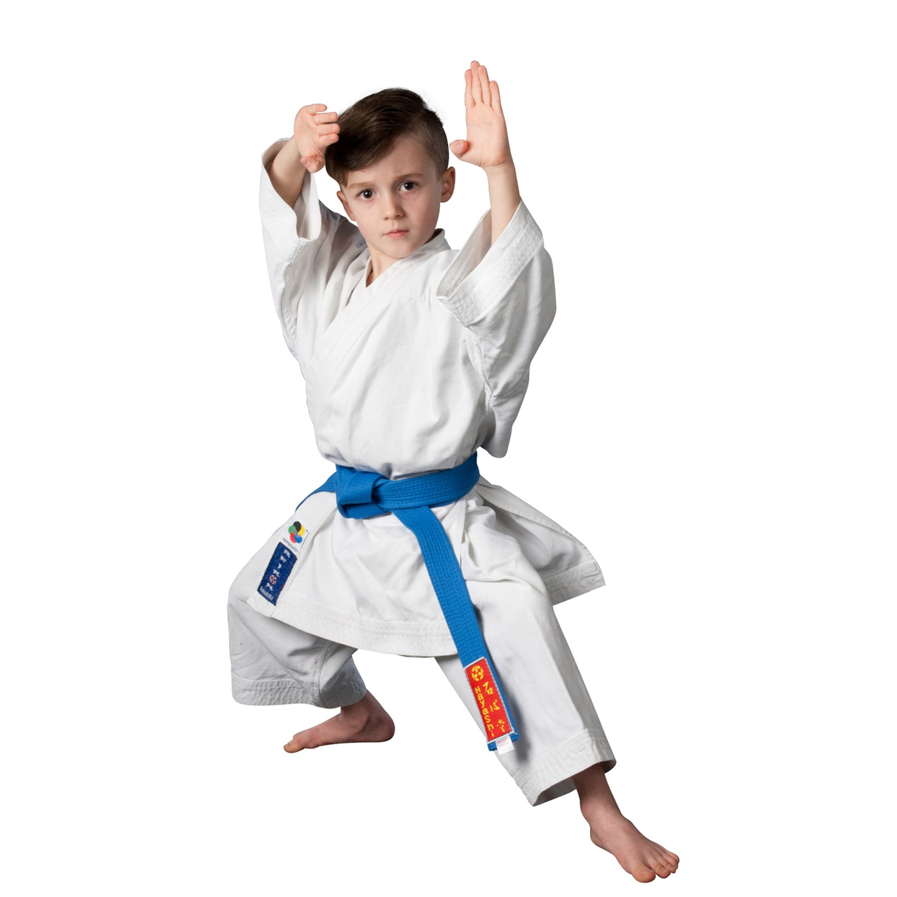 Onderling verbinden Verleiden aflevering karate kids ninja | Arlington Community Education